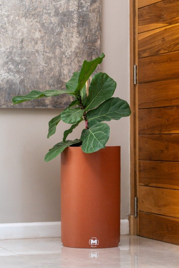 Producto - Mora Terracota