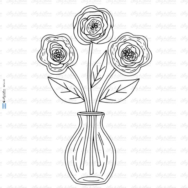 Producto - BM Terra 05