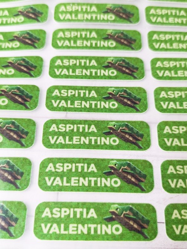 Producto - Planchita Dtf Minecraft Tortuga