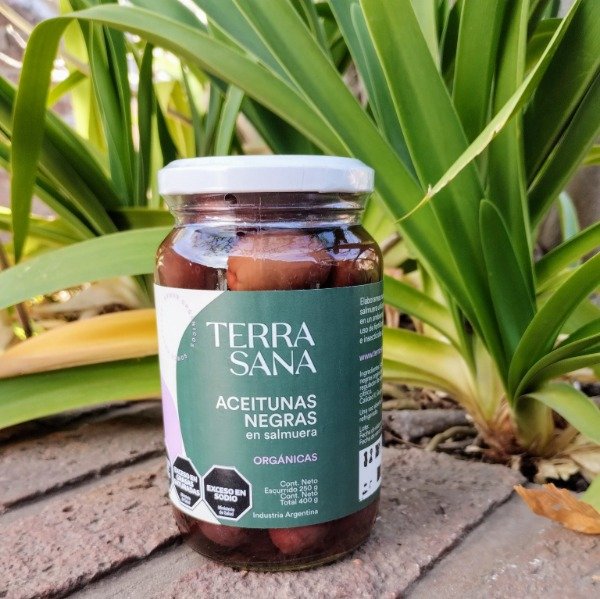 Producto - Aceitunas Negras Orgánicas en salmuera TerraSana