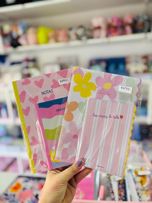 Producto - Pack libretas