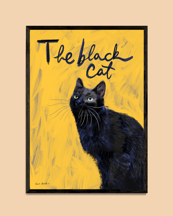 Producto - Black Cat