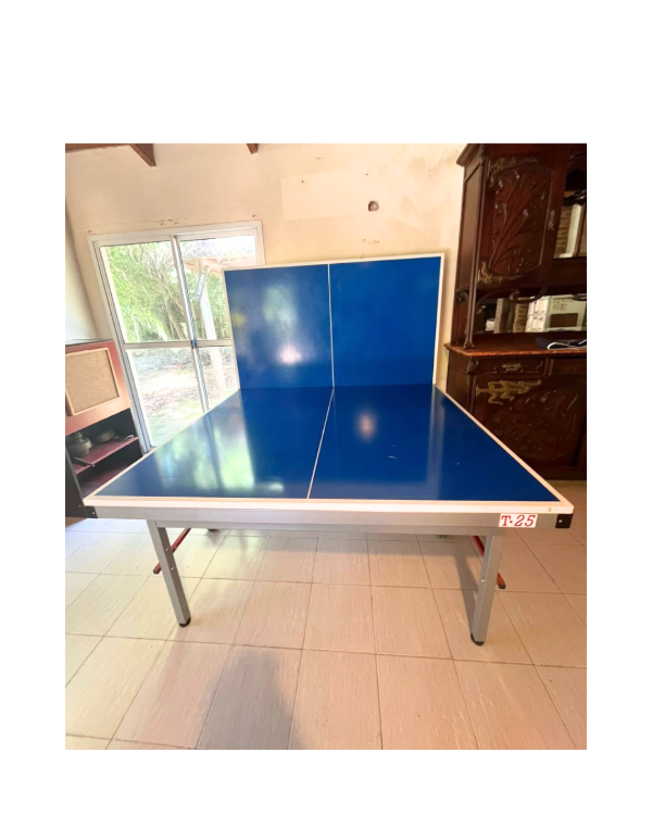 Producto - Mesa de Ping Pong T25 / frontón - Nivel Competición