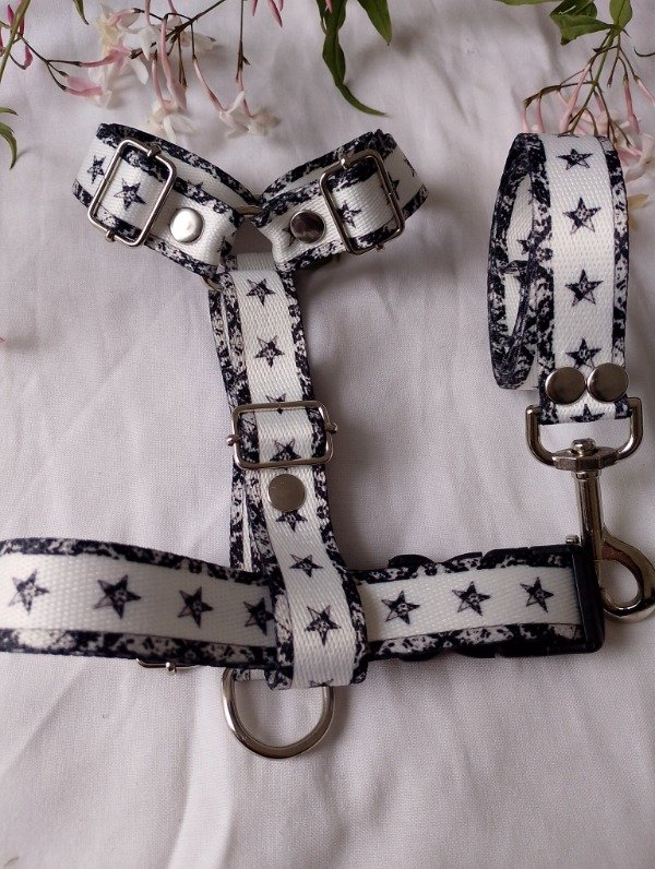 Producto - Conjunto de paseo ASTRA - 8