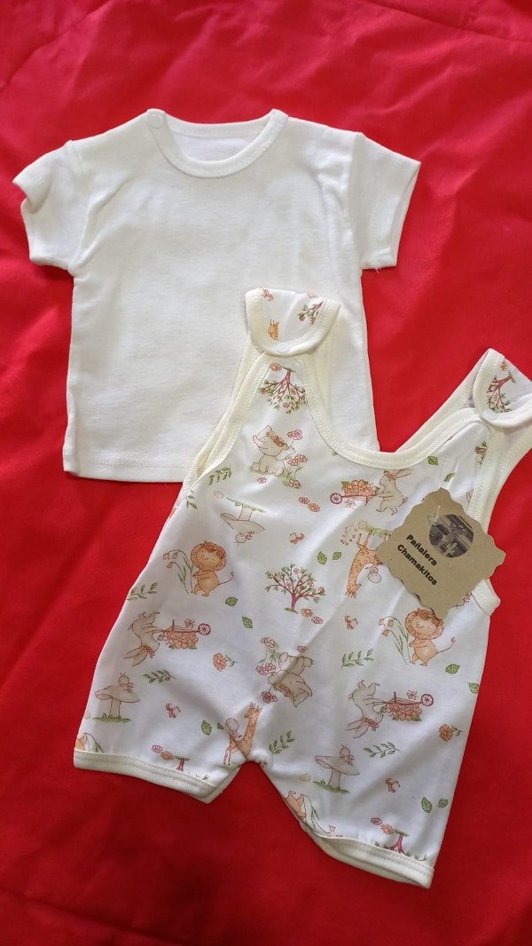 Producto - Conjunto bebe