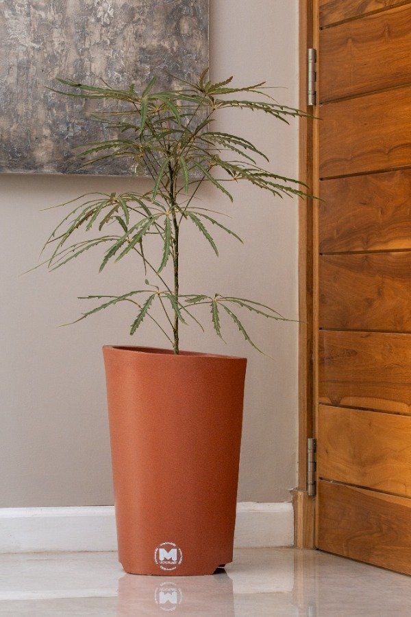 Producto - Carenina Terracota