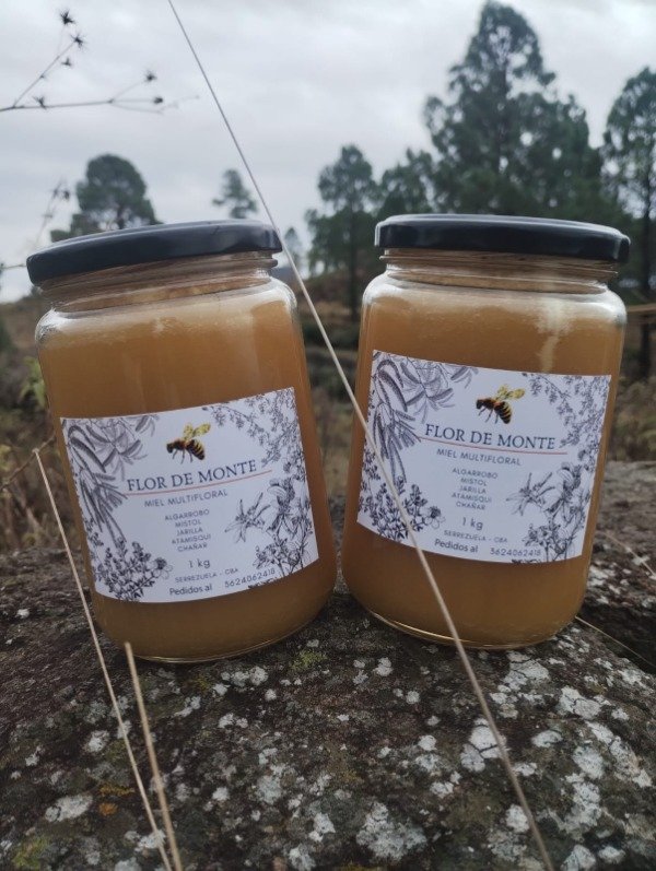 Producto - Miel de Monte Nativo "Flor de Monte" 1kg