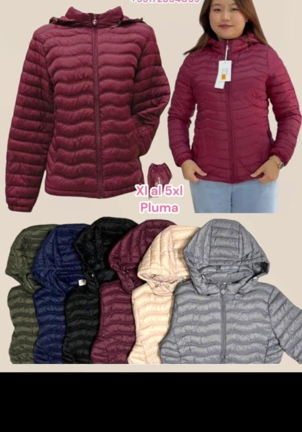 Producto - CAMPERA PLUMA DAMA