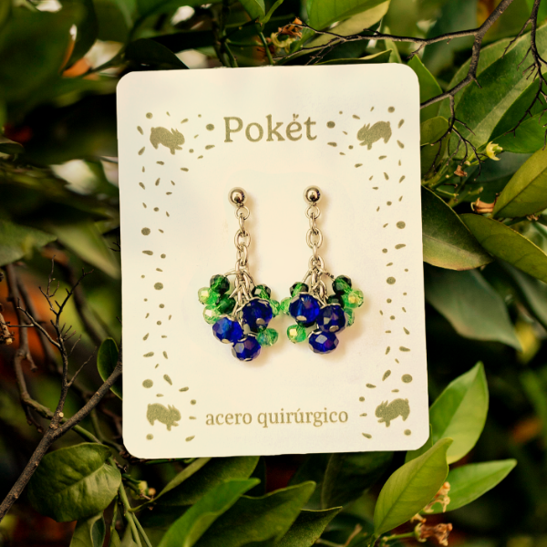Producto - Arandanos - Aros
