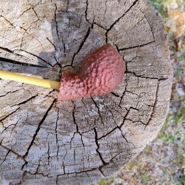 Producto - S. de los anillos Frodo red