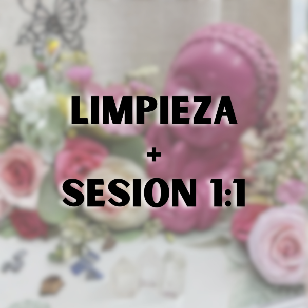 Producto - SESION LIMPIEZA + 1:1