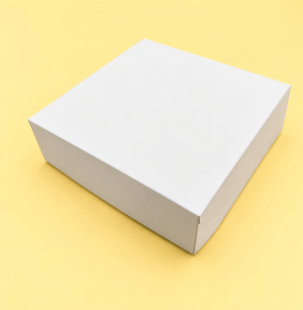 Producto - BOX  TAPA BISAGRA COD.247 18x6x18 - 2