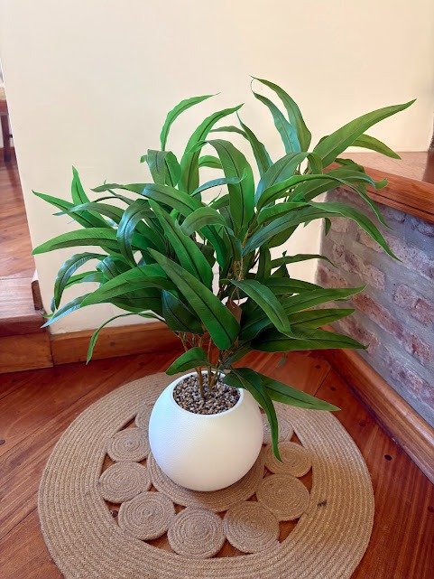 Producto - Planta con Maceta