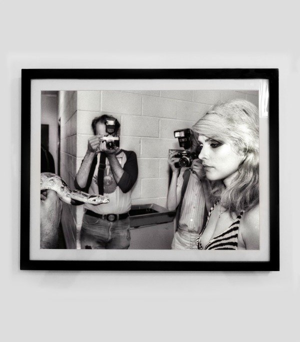 Producto - BLONDIE (Nro 5)