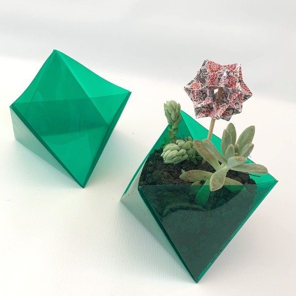 Producto - Macetas plegadas con planta (solo retiro en La Plata) - 3