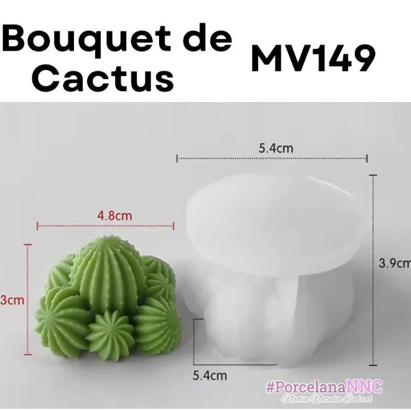 Producto - Bouquet de Cactus    MV149