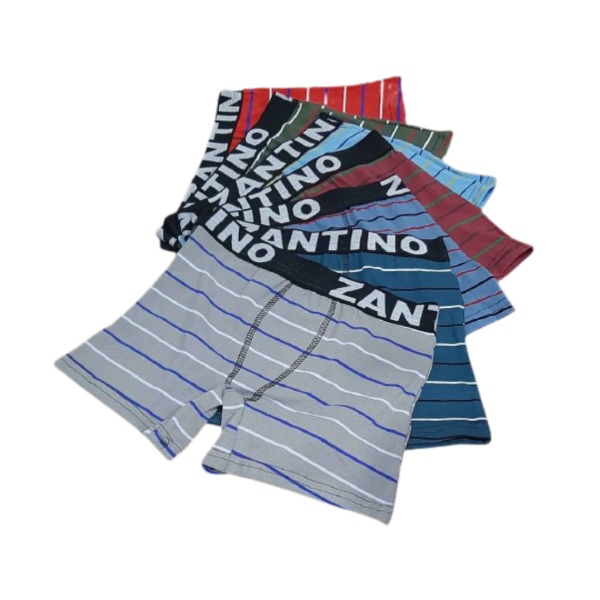 Producto - Boxer zantino juvenil.