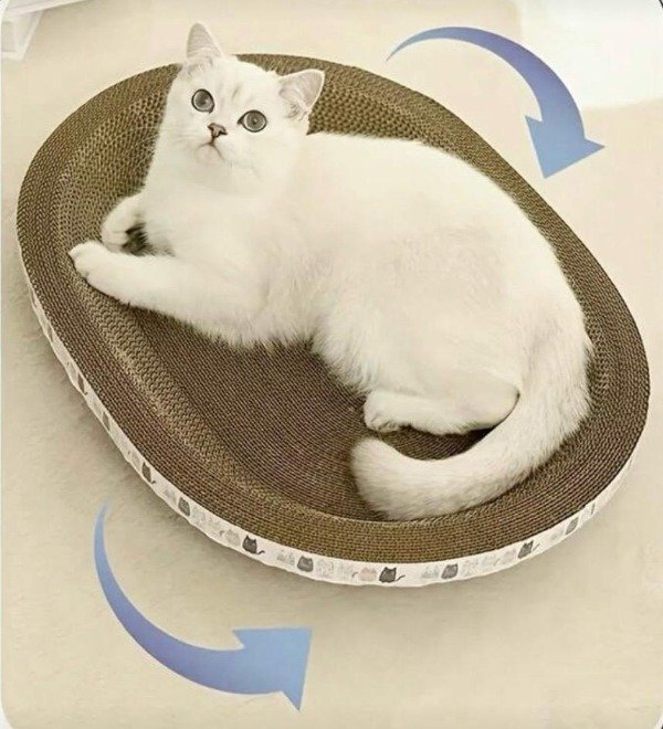 Producto - Rascador Moises Carton