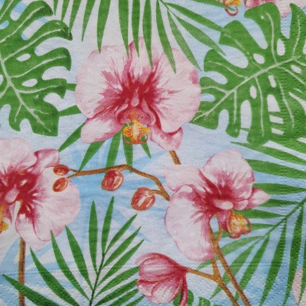 Producto - Flores White Lotus