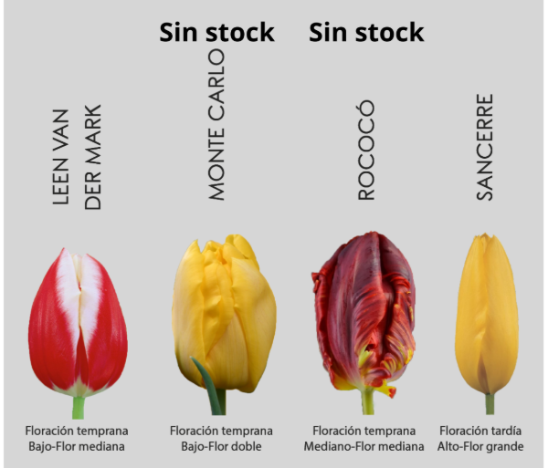 Miniatura de producto - 6