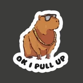 Producto - Capivara, ok i pull up 30