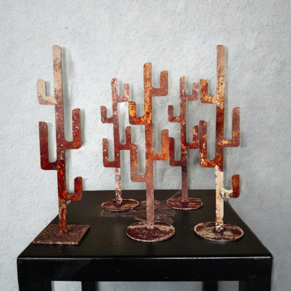 Producto - Cactus "CARDON"