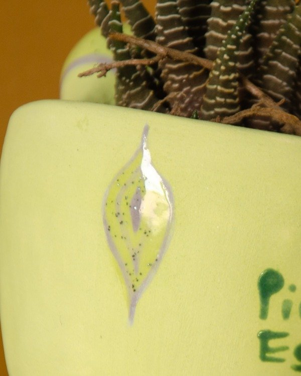 Producto - cucli verde - 3