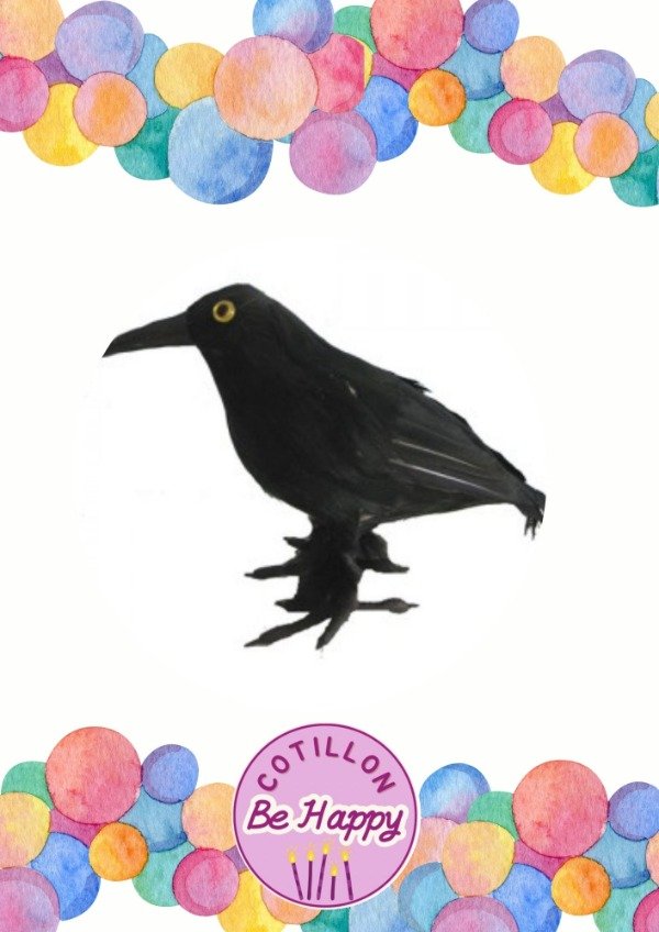 Producto - CUERVO DE PLUMAS