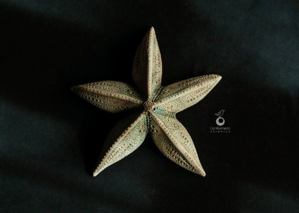 Producto - Escultura Estrella de Mar - Pieza Única de Autor - 2