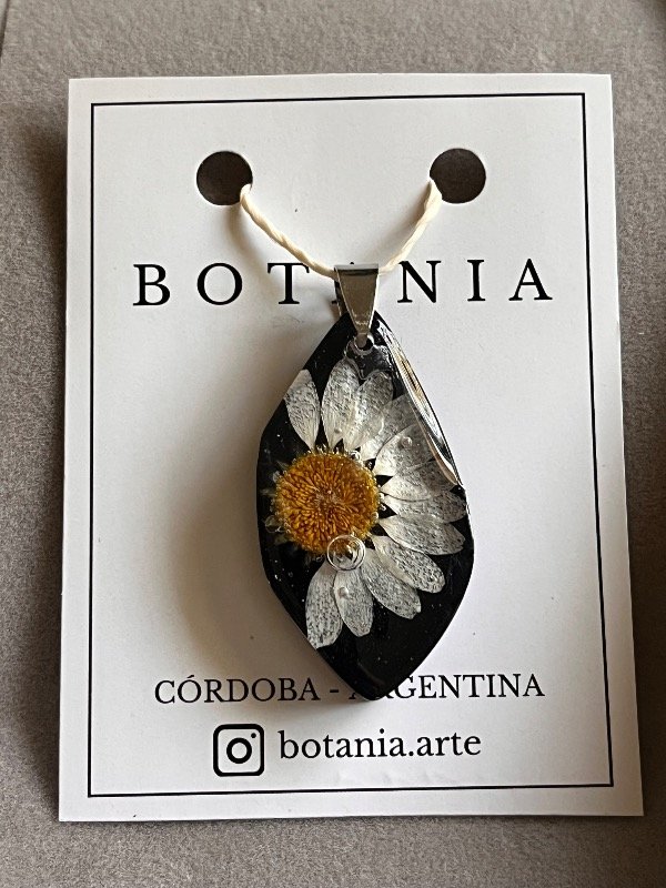 Producto - Margarita 5 - 0