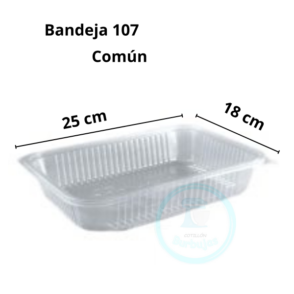 Producto - Bandeja Plástica N.107 común x 1