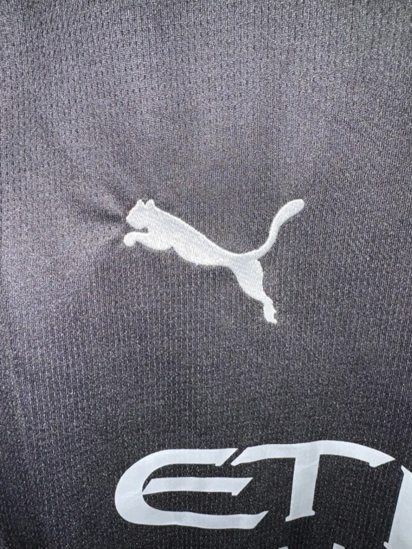 Producto - Camiseta Puma Manchester City 2025/26 Alternativa - 2