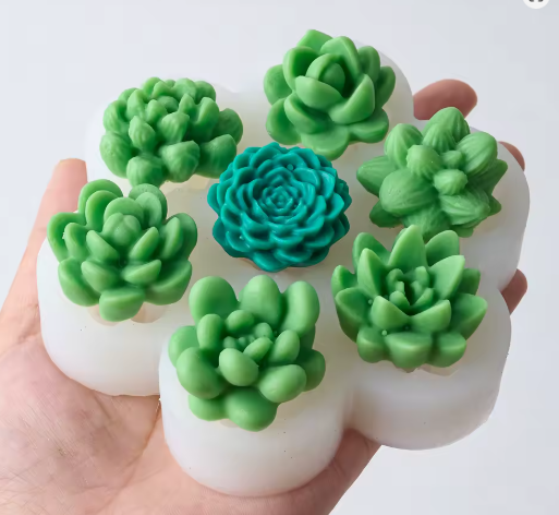 Producto - MOLDE SUCULENTAS X7