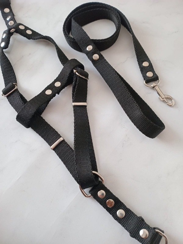 Producto - Pechera + Correa Negra