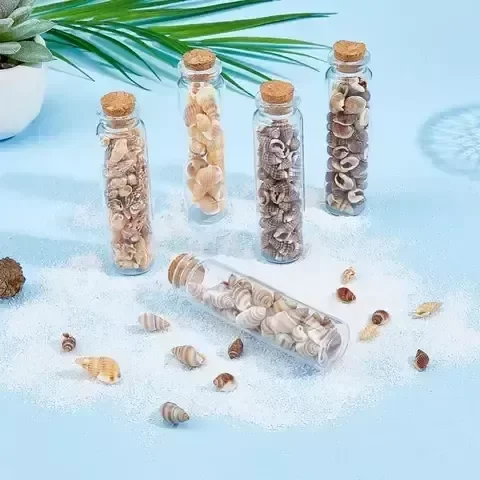 Producto - Set de 5 frascos con diferentes caracoles - 6