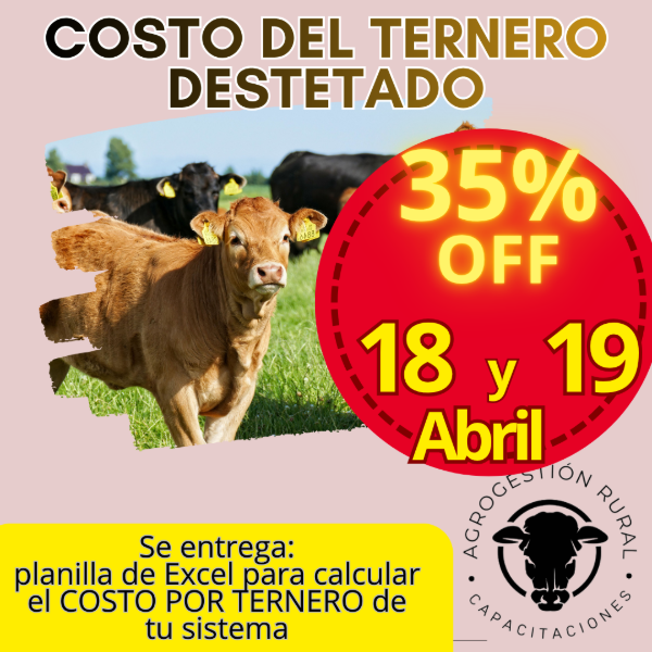 Producto - Taller Online: Costo del Ternero