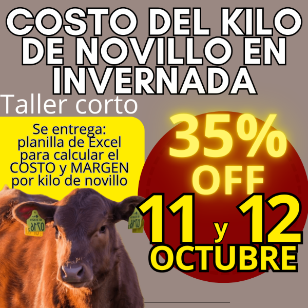 Producto - Taller corto: cálculo del costo del kilo de novillo - 0