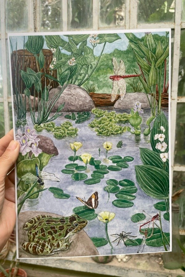 Producto - Lámina Estanque A4/A3 - 0