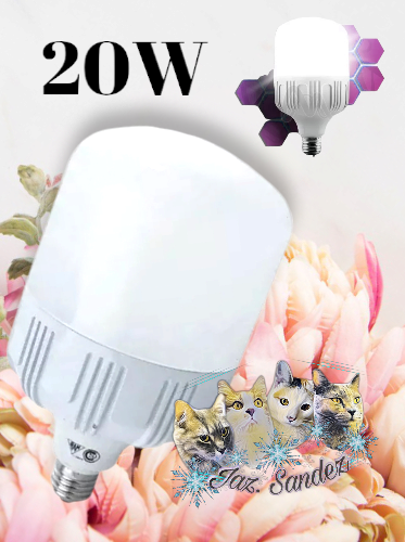 Producto - FOCO 20W