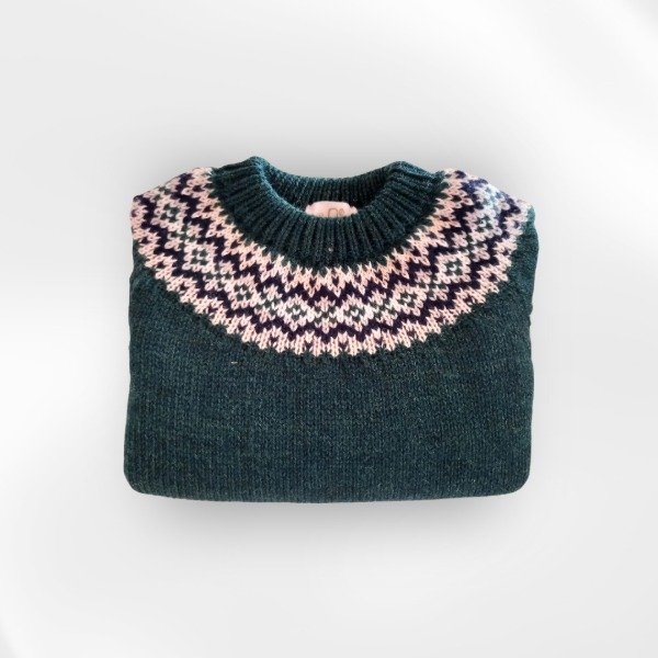 Producto - Sweater verde T1