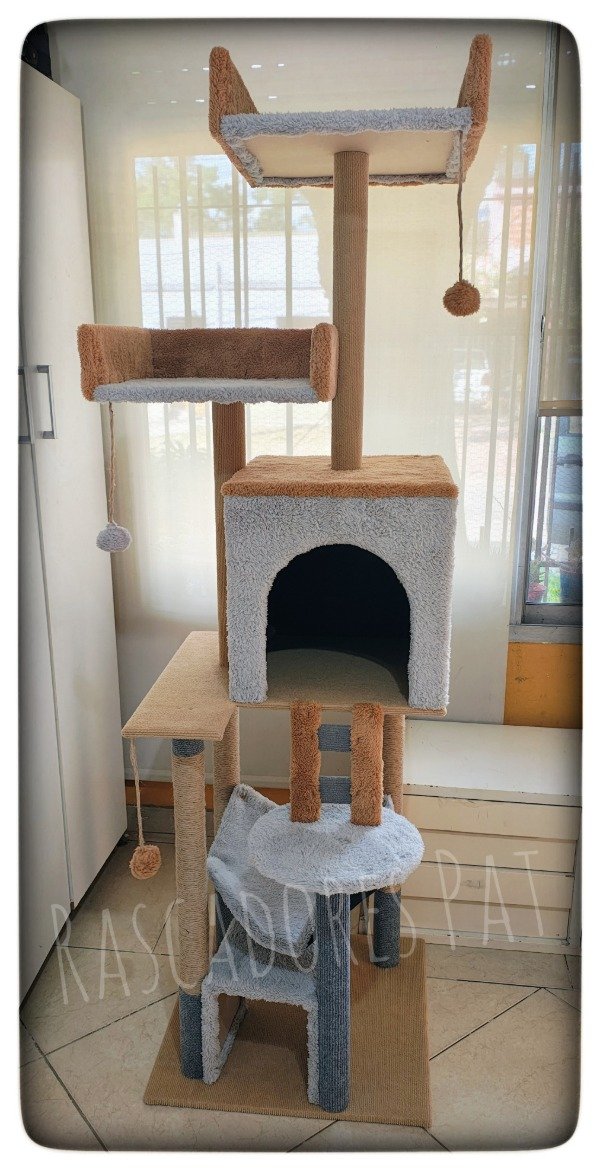 Producto - Budapest Extra moisés Línea premium