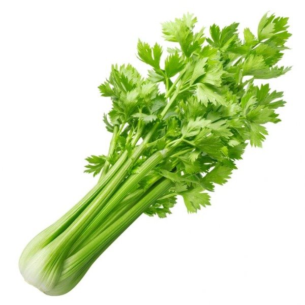 Producto - APIO