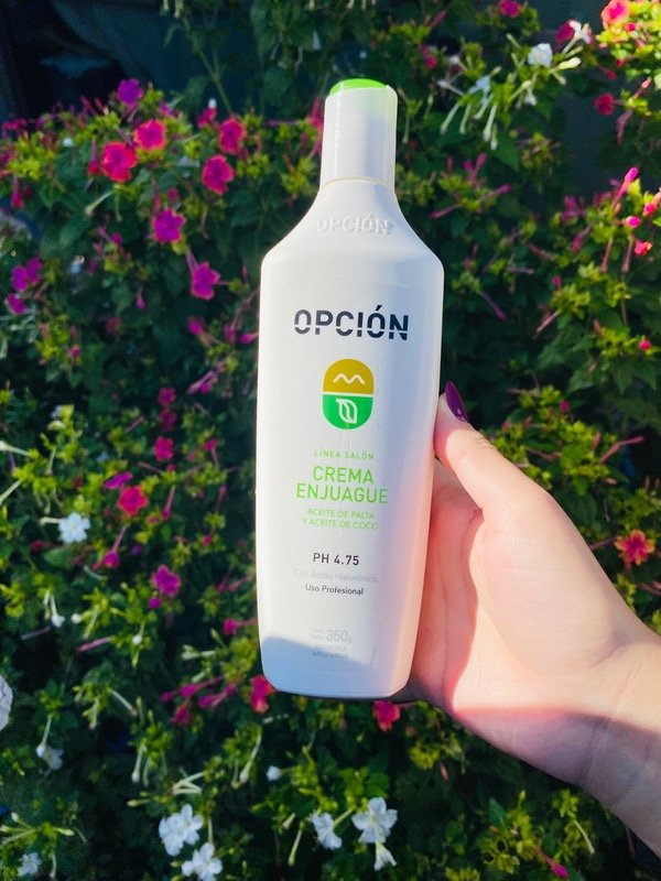 Producto - Acondicionador Palta Opcion