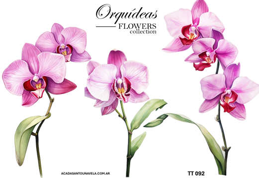 Producto - Lámina termotransferible PLANCHA ttg092