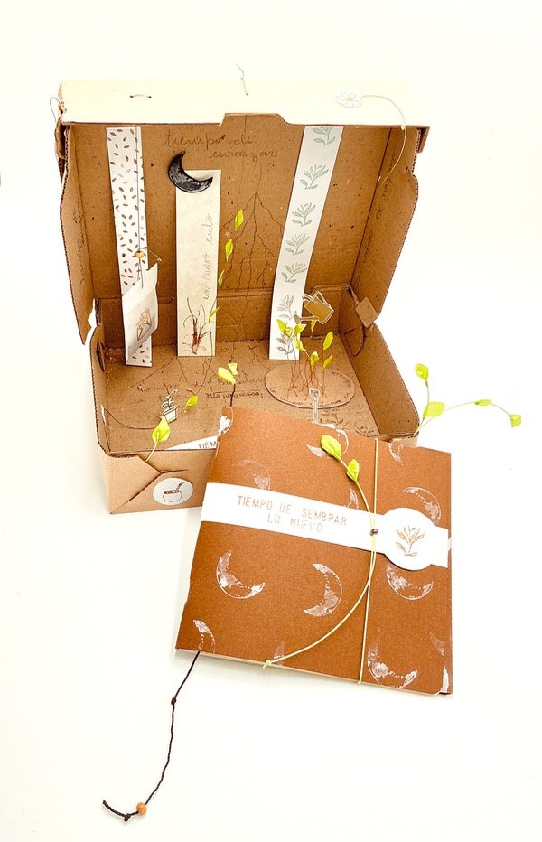 Producto - Tiempo de sembrar lo nuevo