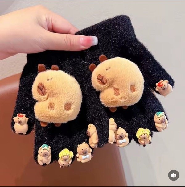 Producto - Guantes capybara con aplique