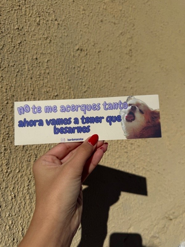Producto - IMÁN auto - 2