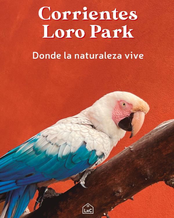 Producto - Corrientes Loro Park