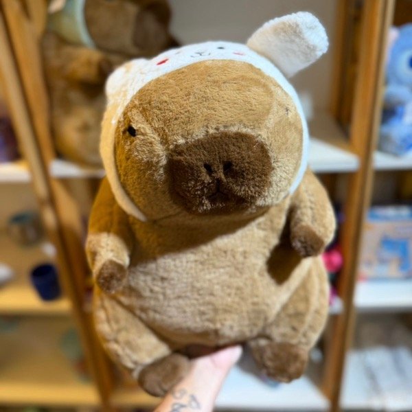 Producto - Capibara + Manta