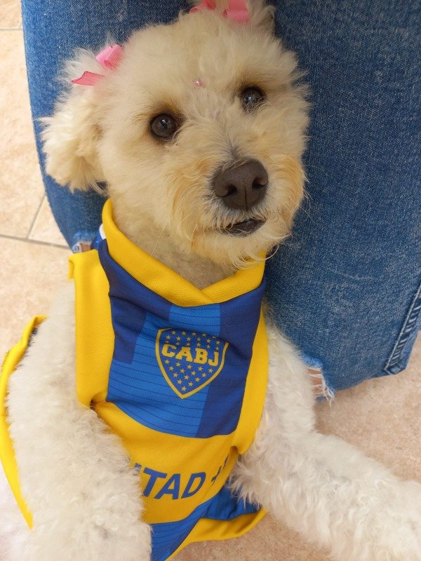 Producto - Camiseta de Boca - 4